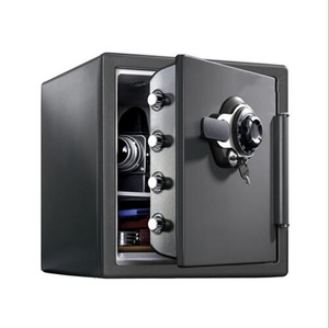 Fireproof Safe Regular